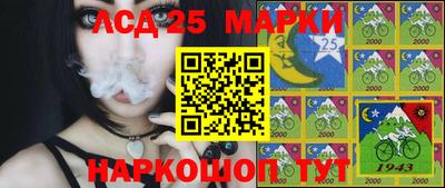 гашик Камышлов