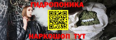 гашик Камышлов