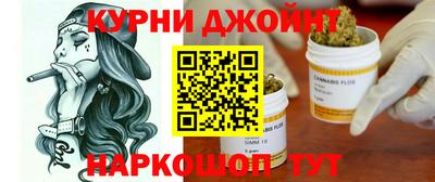 гашик Камышлов
