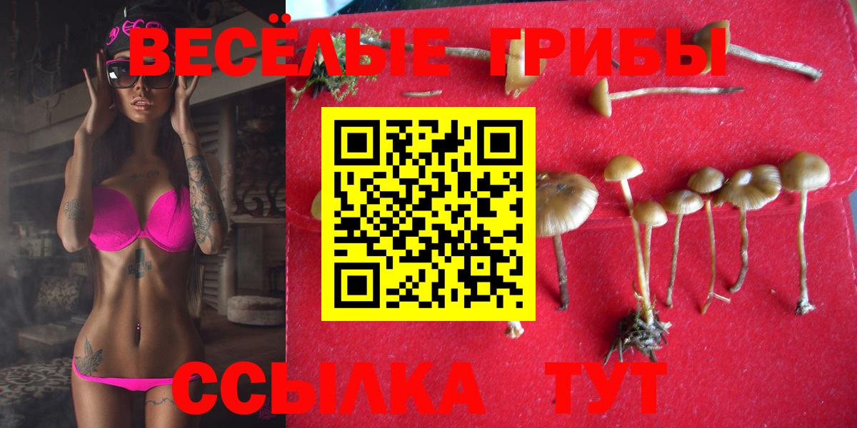 Галлюциногенные грибы Psilocybine cubensis Учалы