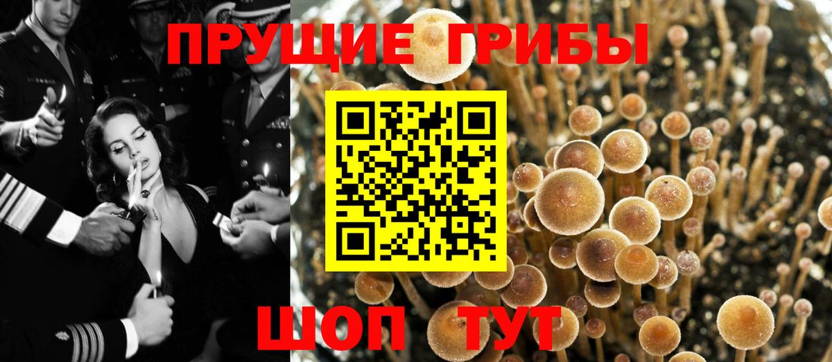 Учалы  Галлюциногенные грибы Psilocybine cubensis  Вход с VPN  Галлюциногенные грибы мухоморы 